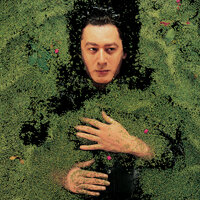 Sommes-Nous - Alain Bashung