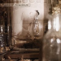 Von der Einfalt - Sopor Aeternus & The Ensemble Of Shadows