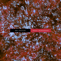 Solitude - M83, Felsmann + Tiley