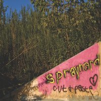 STR8TRPN - Spraynard