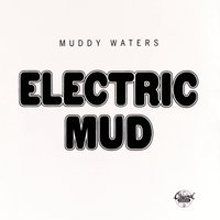 Tom Cat - Muddy Waters