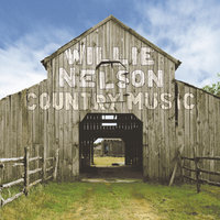 Drinking Champagne - Willie Nelson