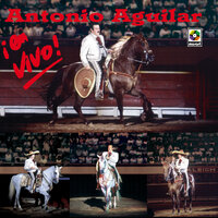 Un Puño De Tierra (En Vivo) - ANTONIO AGUILAR