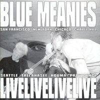 Mr. Function - Blue Meanies