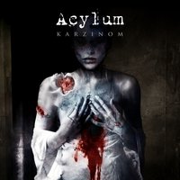 Haus am See - Acylum