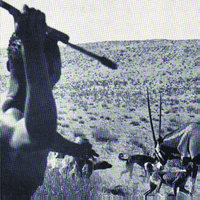 I'll Ram My Ovopositor Down Your Throat and Lay Eggs in Your Chest But, I'm Not an Alien - The Reptilian
