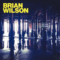 One Kind Of Love - Brian Wilson