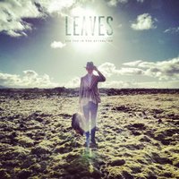Afterglow - Leaves