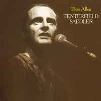More Than I Like You - Peter Allen