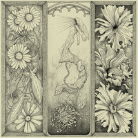 Daisies - Cloud Rat