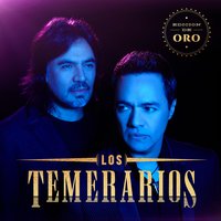 Vive Feliz - Los Temerarios