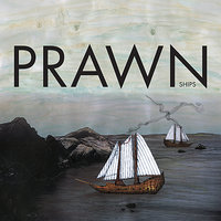 Donald Domesky - Prawn