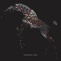 Facebook Rant - The Giraffes