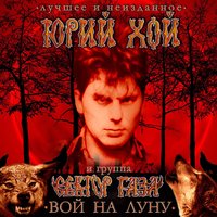 Взял вину на себя - Сектор Газа
