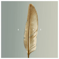 Chances - Kafe