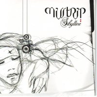 Echoes - Misstrip