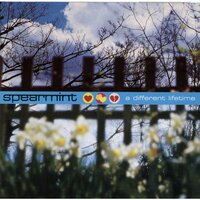 wrapped up together - Spearmint