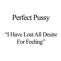 III - Perfect Pussy