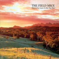 Sensitive - The Field Mice