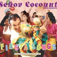 Smoke on the Water - Señor Coconut