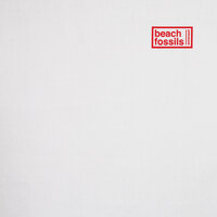 Down the Line - Beach Fossils