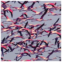 Doomed User - Deftones