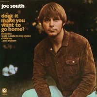Bittersweet - Joe South