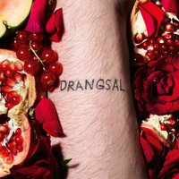 Allan Align - Drangsal