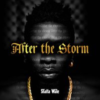 Reality - Shatta Wale