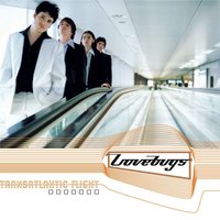 Transatlantic Flight - Lovebugs