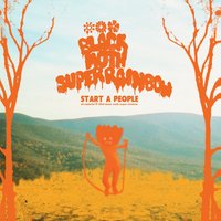 Seeeds - Black Moth Super Rainbow