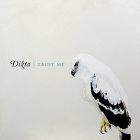 Home - Dikta