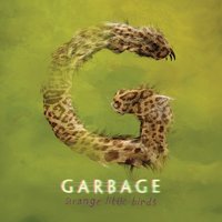 We Never Tell - Garbage