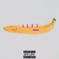 Ной - Пика, ATL, Брутто