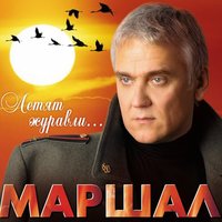Седьмой батальон - Александр Маршал