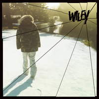 Pies - Wiley