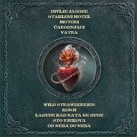 London - Divlje jagode