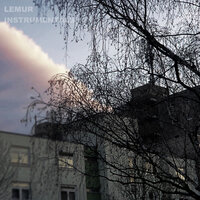 Provisorium - Lemur