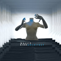 River Of Paper - Wallis Bird