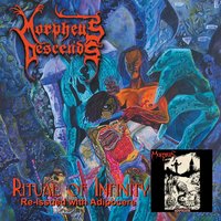 Corpse Under Glass - Morpheus Descends