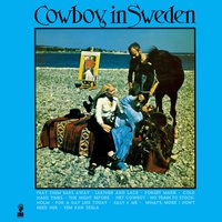 Cold Hard Times - Lee Hazlewood