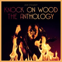 Right Place, Wrong Time - Amii Stewart