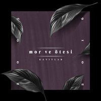 Darbe - Mor ve Ötesi