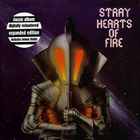 Live Wire - Stray