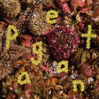 Won't - Pwr Bttm