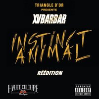 Le mal y est - XV, Xvbarbar