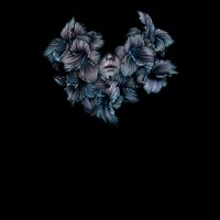 Infinite Chances - A Lot Like Birds