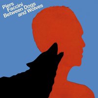 Broken Mirror - Piers Faccini