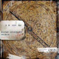Collateral Damage - Solitary Experiments, Life Like