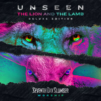 Branches - Seventh Day Slumber